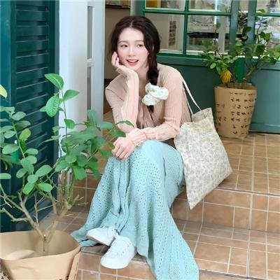 丑闻录带大阴谋